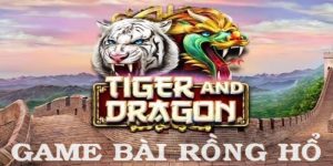Giao diện của rồng hổ được thiết kế rất tinh tế, đẹp mắt